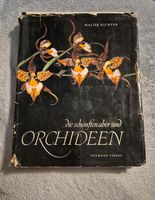 ... die schönsten aber sind Orchideen Neumann Verlag Leipzig - Grünau-Ost Vorschau