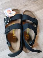 Birkenstock Sachsen - Eibau Vorschau