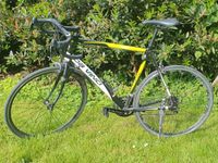 Rennrad - Da Vinci Campagnolo Xenon 20 G | RH 56 Brandenburg - Brandenburg an der Havel Vorschau