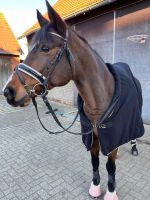 Reitbeteiligung / Pferd sucht Reiter Nordrhein-Westfalen - Ostbevern Vorschau