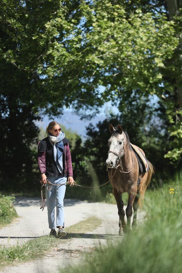 Lieber Quarter Horse Appaloosa Araber PRE Mix Wallach, 3 Jahre in Limburgerhof