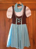 Dirndl blau / braun Baden-Württemberg - Freiberg am Neckar Vorschau