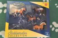 Breyer Stablemate Breyerfest Pferde Hames Sachsen-Anhalt - Körbelitz Vorschau