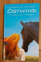 Buch Ostwind Teil 2 Sachsen - Oederan Vorschau