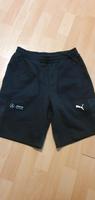 Herren Shorts Puma Größe S Berlin - Spandau Vorschau