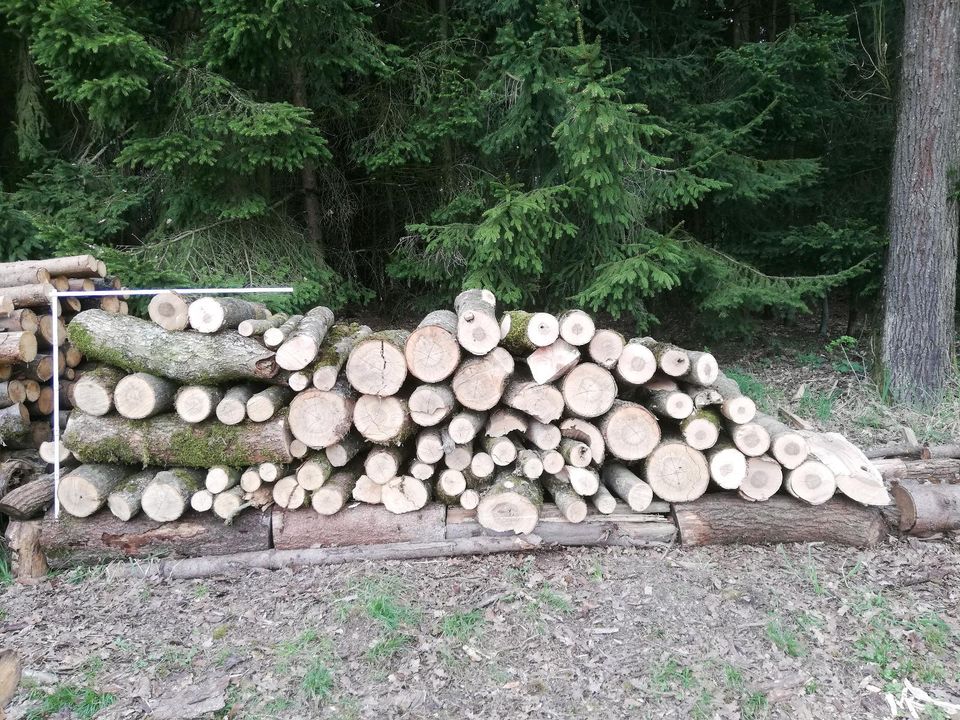 Brennholz, Esche, Hartholz, 1m Holz Scheite in Fürstenzell