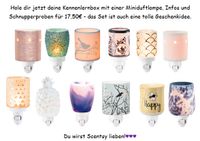 Scentsy Miniduft Lampen 50% reduziert Kostenlose Duftproben Sale Sachsen - Schkeuditz Vorschau