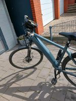 E-Bike Grace Easy Tretlager  S Pedelec Nordrhein-Westfalen - Minden Vorschau