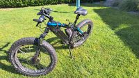 E-Bike NCM Aspen plus Fatbike TOP Zustand Niedersachsen - Danndorf Vorschau