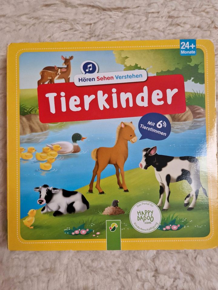 Kinderbücher verschiedene in Rosenthal