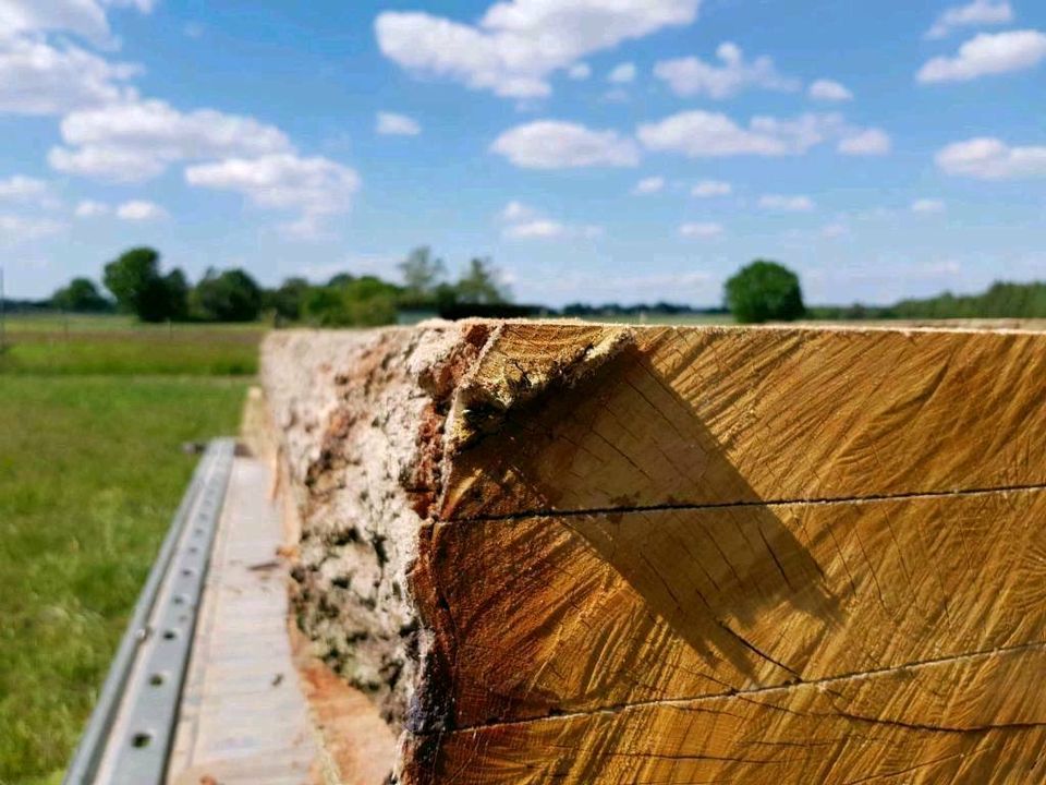 Mobiles Sägewerk Wood-Mizer Lohnschnitt Bretter Bohlen Kanthölzer in Kutenholz