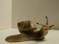 Fa. Bullyland WEINBERGSCHNECKE, neuwertig, ca.9 cm Niedersachsen - Celle Vorschau