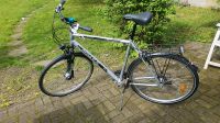 Trekking Bike Fahrrad Pegasus 28 Zoll Wandsbek - Hamburg Marienthal Vorschau