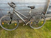 Fahrrad 28er braucht etwas Liebe Pankow - Blankenfelde Vorschau