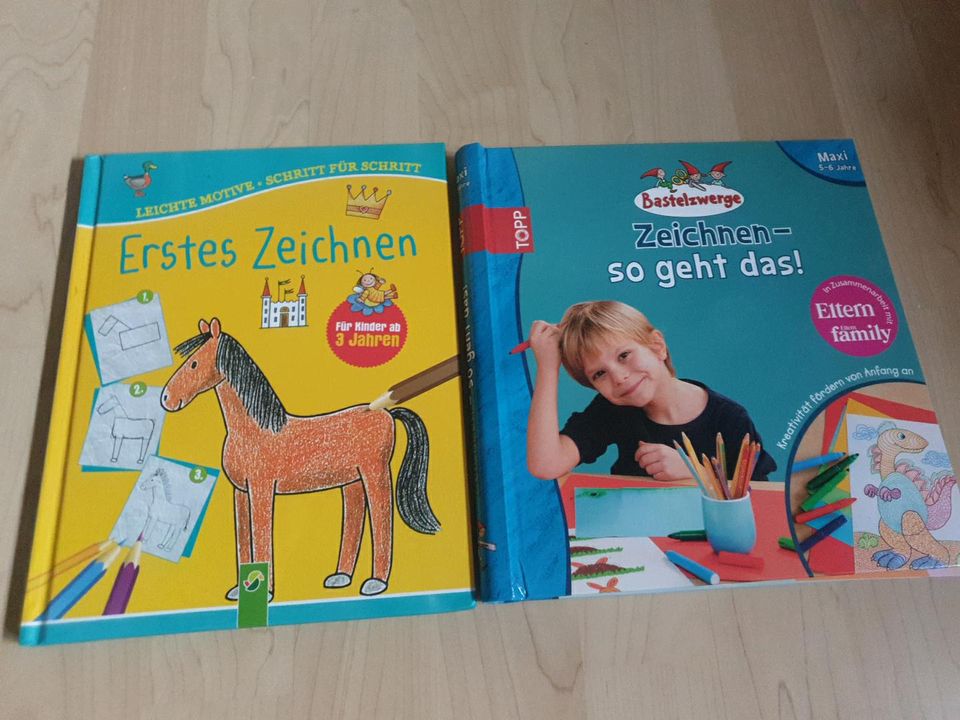 Großes Bücherset zum Lesen & Nachschlagen (gerne auswählen) in Frankfurt am Main