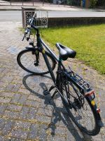 Greens Fahrrad zu verkaufen Niedersachsen - Emden Vorschau