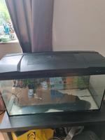 Aquarium mit Pumpe Nordrhein-Westfalen - Iserlohn Vorschau