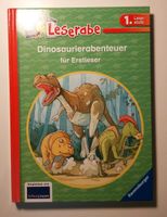 Leserabe Dinosauriergeschichten Erstleser Baden-Württemberg - Hilzingen Vorschau