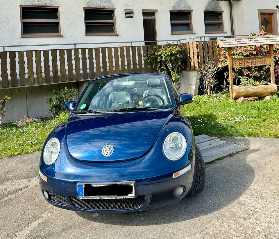 VW New Beetle Cabrio 2.0 in Stegen