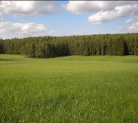 Suche Wiese zur Pacht oder Kauf Niedersachsen - Wolfsburg Vorschau