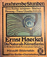 ❤️ Ernst Haeckel Häckel Buch 1914 „Leuchtende Stunden“ Brandenburg - Rathenow Vorschau