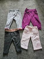 Hosen / Leggings / Jogginghosen Gr. 74 Niedersachsen - Bahrdorf Vorschau