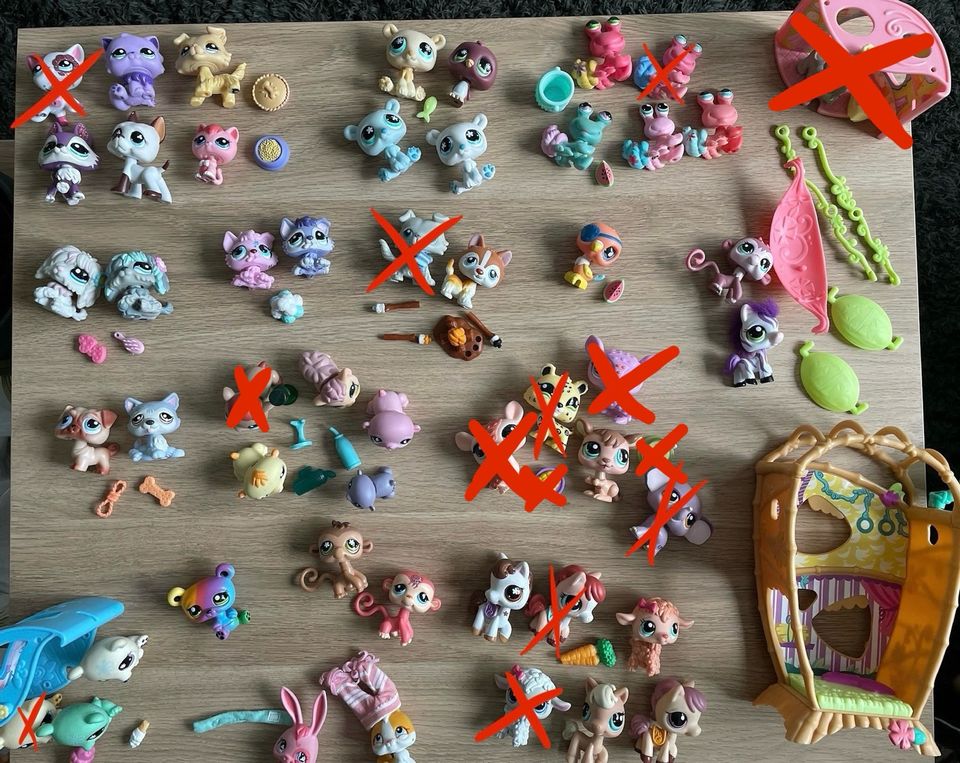 Littlest Pet Shop in Rostock