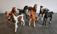 ☆ Schleich ☆ Fohlen ☆ TOP ☆ Baden-Württemberg - Simmozheim Vorschau