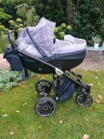 Kinderwagen 2 in 1 Anex Sport Rheinland-Pfalz - Frankenthal (Pfalz) Vorschau