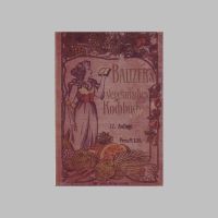 Baltzers Vegetarisches Kochbuch 1911 Reprint Rezepte 12€* Baden-Württemberg - Obermarchtal Vorschau