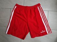 adidas Sportshorts  SG Frankfurt Gr. L rot  neuwertig Hessen - Eppstein Vorschau
