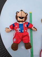 Teddy , Fanartikel , Sammler FCBayern Schleswig-Holstein - Handewitt Vorschau