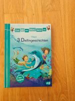 Buch 3 Delfingeschichten Niedersachsen - Göttingen Vorschau