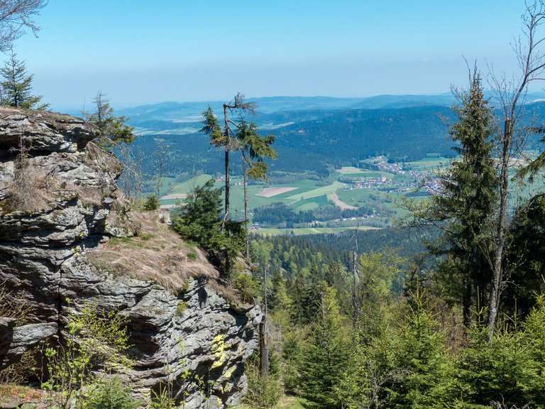 Berghütte/Ferienhaus/Ferienwohnung-Bayerischer-Wald in Gotteszell