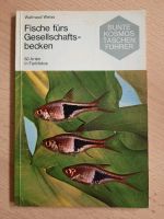 Fische fürs Gesellschaftsbecken - Waltraud Weiss, Taschenbuch Thüringen - Erfurt Vorschau