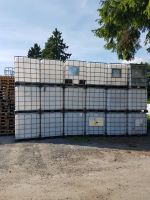 IBC Container / Wassertank / Weiß  1000L/ Gereinigt! Westerwaldkreis - Rennerod Vorschau