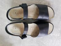 Gabor Leder  Sandalen. w.NEU   Große 5 weite H Bielefeld - Milse Vorschau
