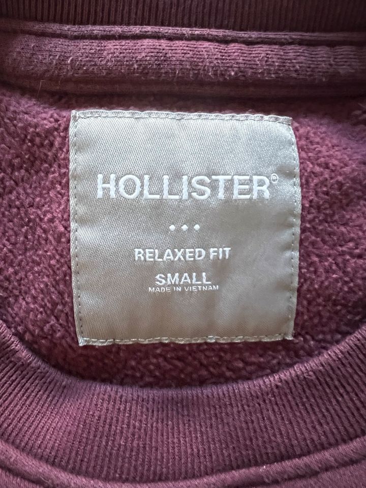 Hollister Pullover in Binzen