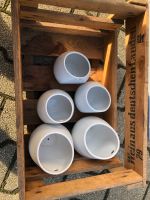 Ikea Behälter (5 Stück) mit Hakenleiste Sachsen - Gröditz Vorschau