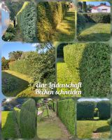 La Familia Dienstleistungen Garten- Landschaftspflege, GALA-Bau Brandenburg - Schwielochsee Vorschau