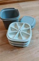 Neu Tupperware Eis Quick grau weiß Niedersachsen - Duderstadt Vorschau