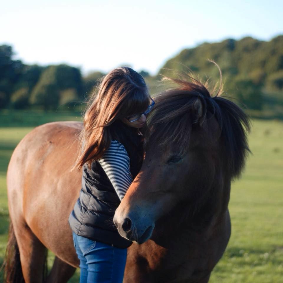 Coaching für Tierhalter in Stuttgart