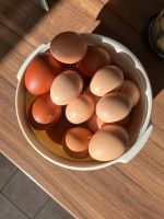 Frische Eier Nordrhein-Westfalen - Nottuln Vorschau
