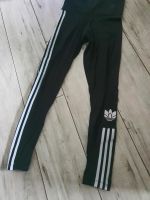 Adidas Hose Jogginghose Damen Leggins Trainingshose Tight S 36 Niedersachsen - Bülstedt Vorschau