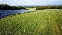 Dauerhafte Pachteinnahmen durch Solarparks in Marxheim Bayern - Marxheim Vorschau