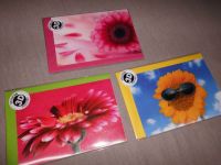 Grußkarte Postkarte 3x mit Umschlag 3D Motiv Sticker Blumen Hessen - Hanau Vorschau