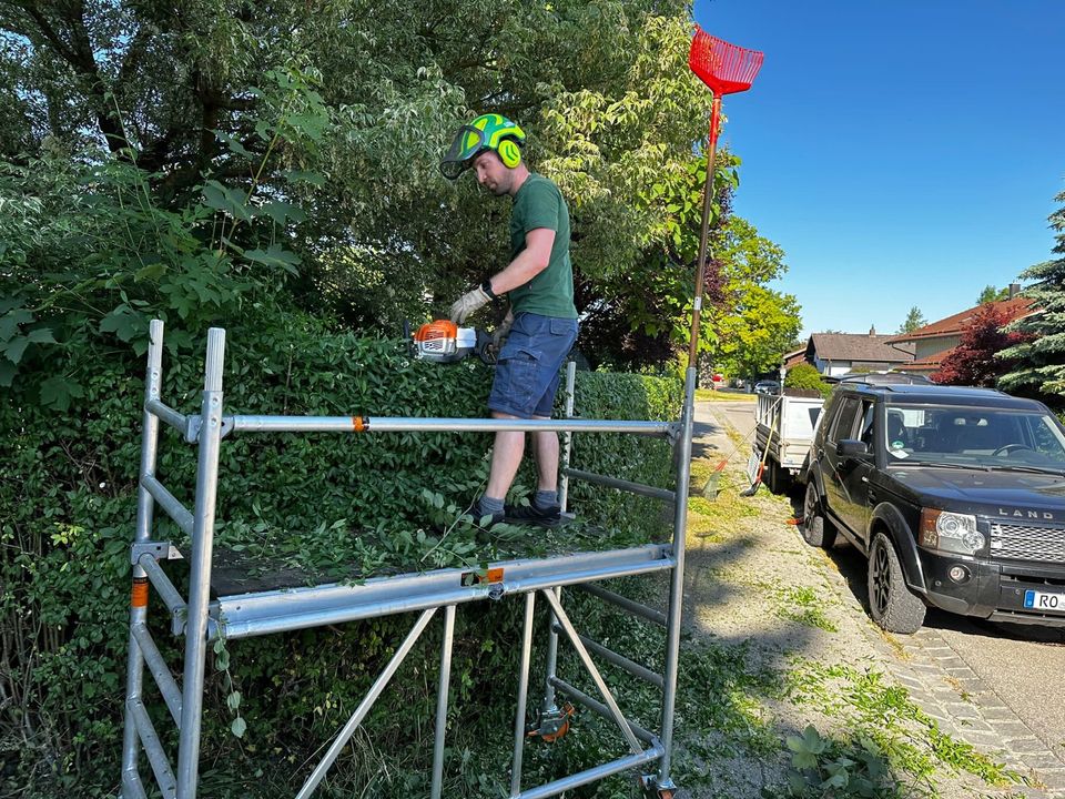 Garten Service, Hecken schneiden in Rosenheim