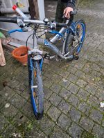 Fahrrad 24 Zoll Rheinland-Pfalz - Wied bei Hachenburg Vorschau