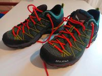 Salewa Mountain Trainer 2 GTX Dresden - Striesen-West Vorschau