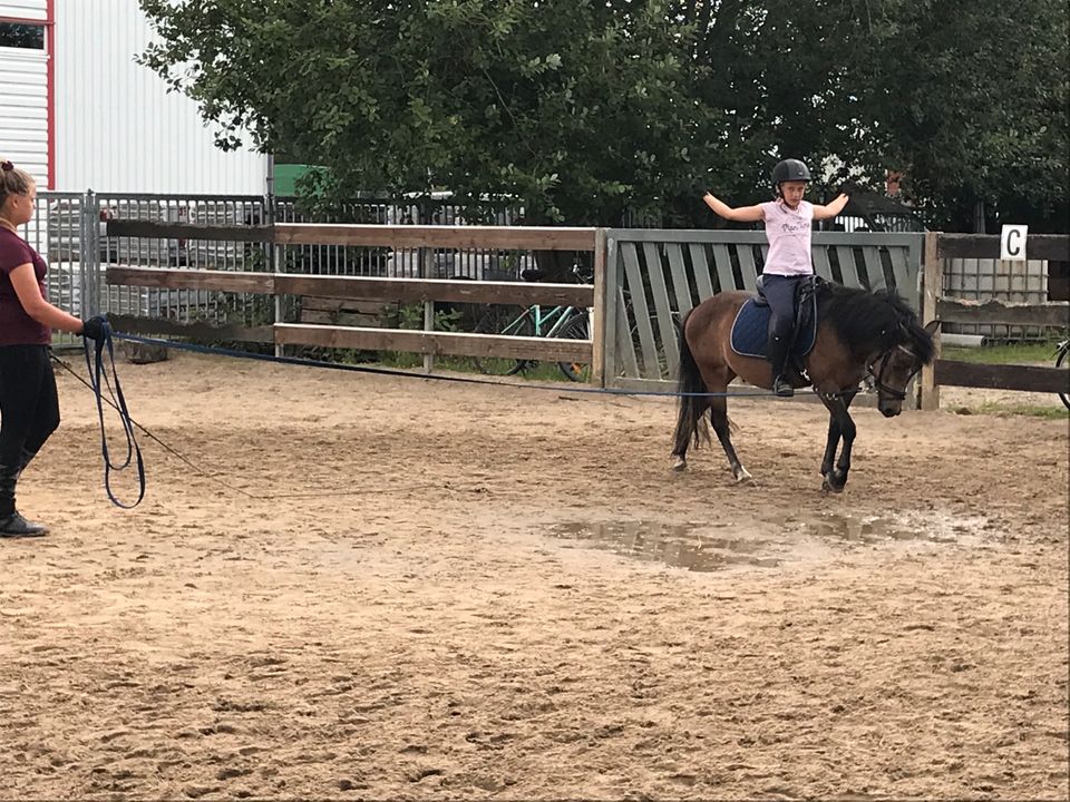 Reitunterricht für Anfänger/Fortgeschrittene Kinder in Horneburg